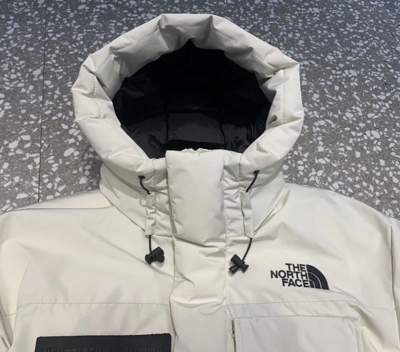 The North Face Down Jackets FashionForward 173054