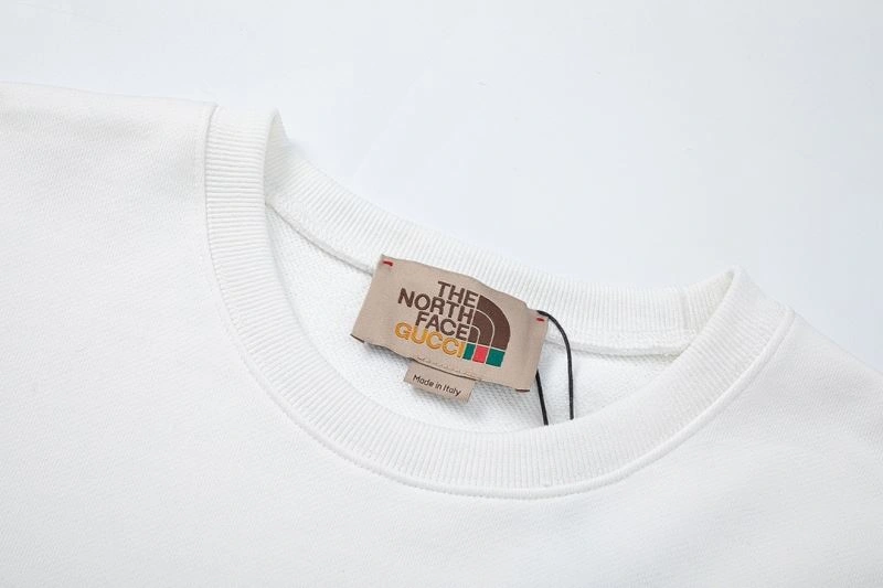 SunProtective The North Face Hoodies 173037