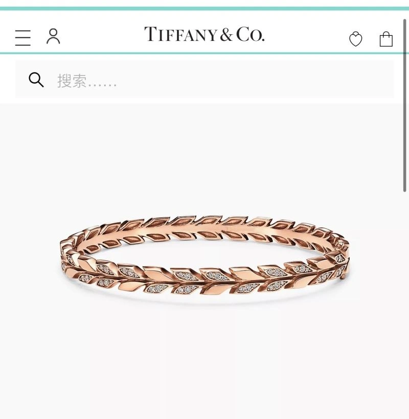 MultiPurpose Tiffany Bracelets 253900