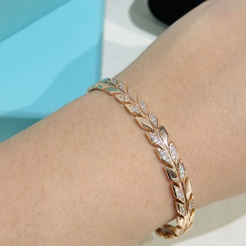 MultiPurpose Tiffany Bracelets 253900