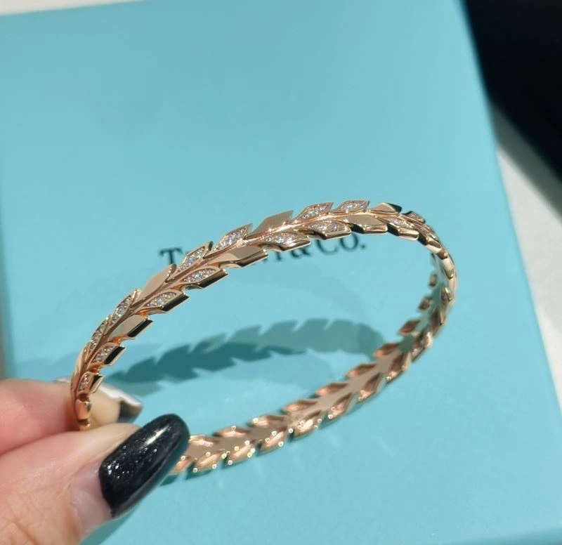 MultiPurpose Tiffany Bracelets 253900
