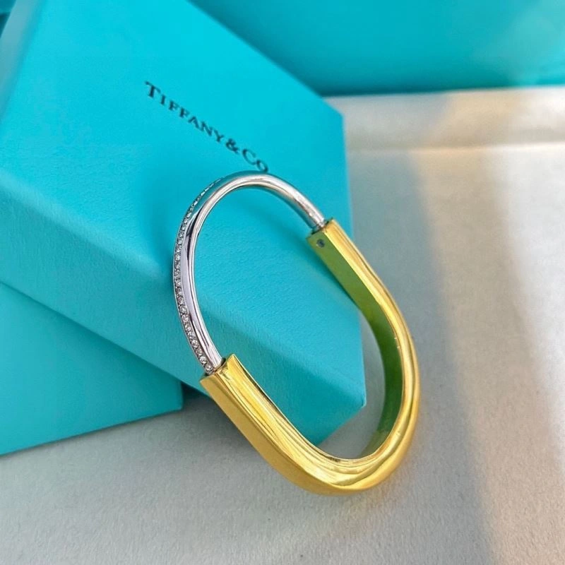 Tiffany Bracelets Sleek 253993
