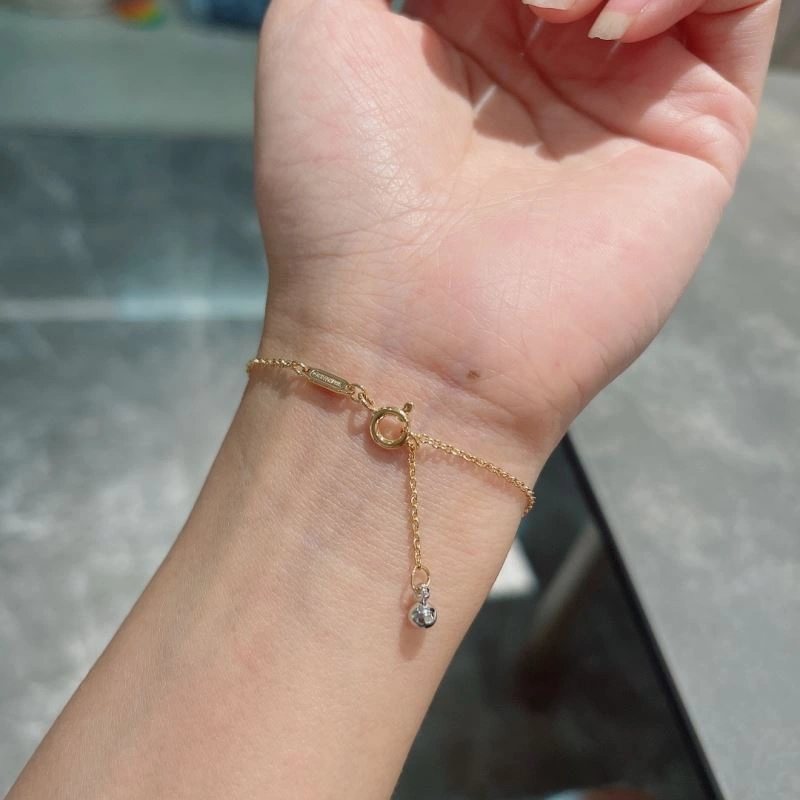 Tiffany Bracelets Functional 253975