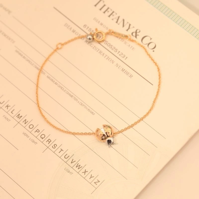 Tiffany Bracelets Functional 253975