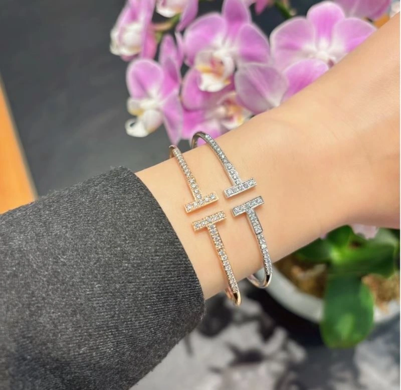 Tiffany Bracelets Elegant 253816