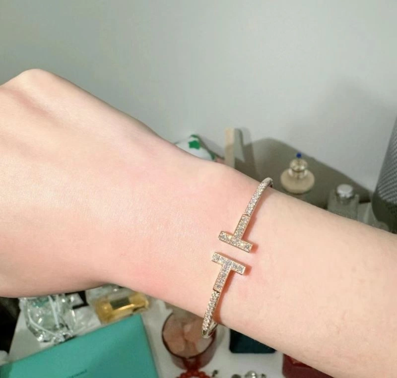 Tiffany Bracelets Elegant 253816