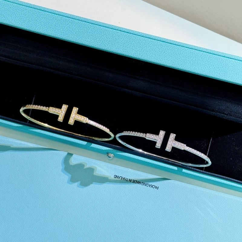 Tiffany Bracelets Elegant 253816