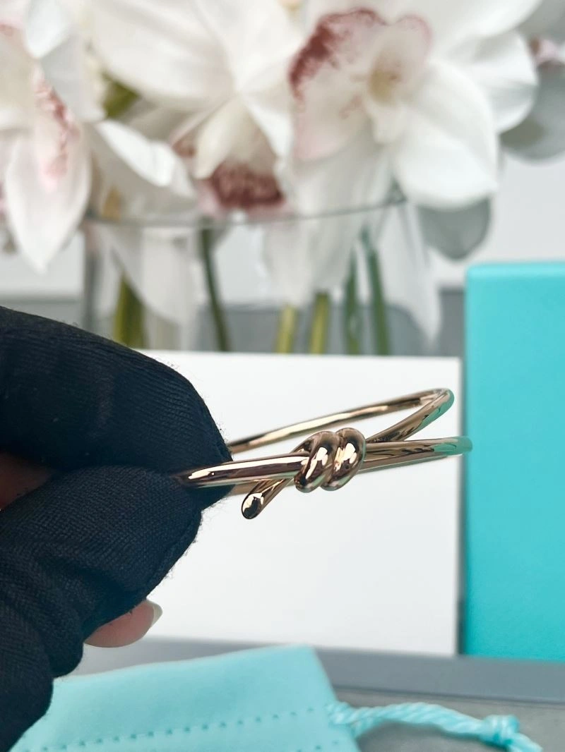 Tiffany Bracelets TechFriendly 253789