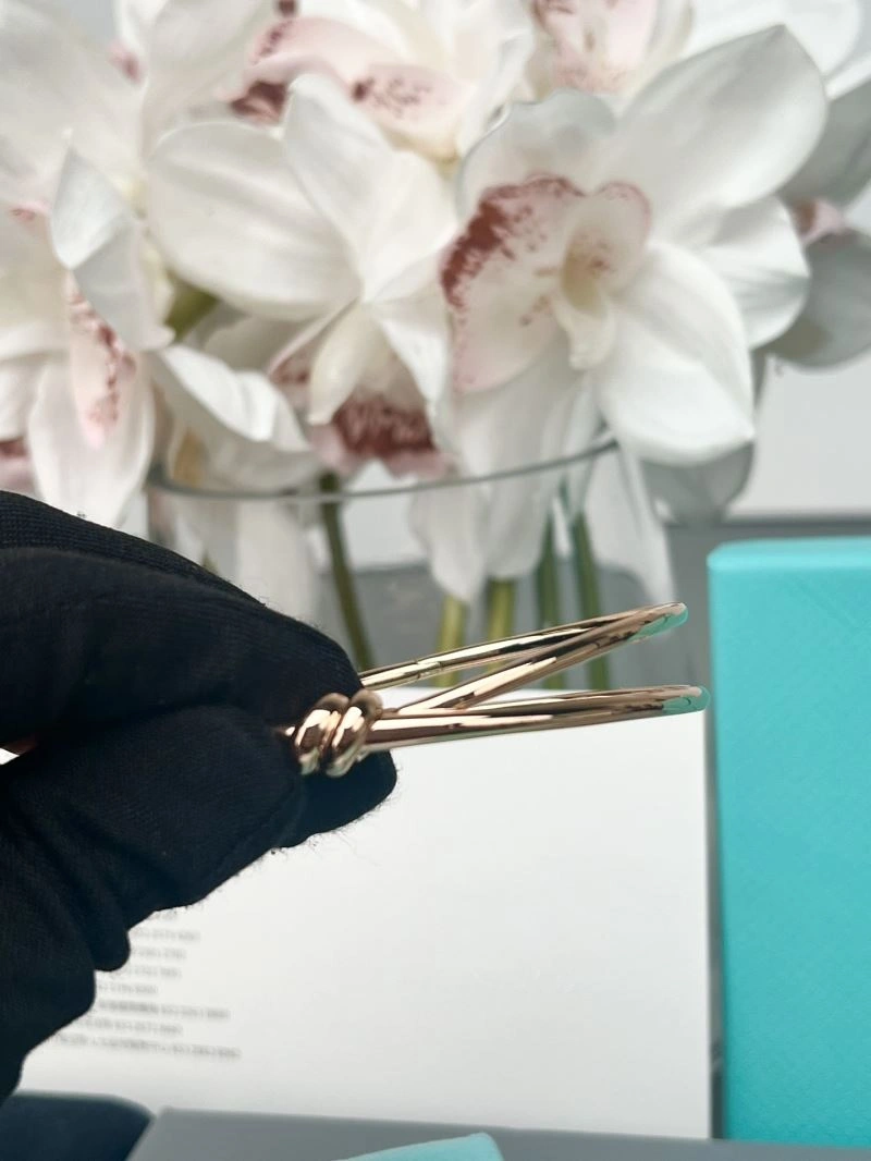 Tiffany Bracelets TechFriendly 253789