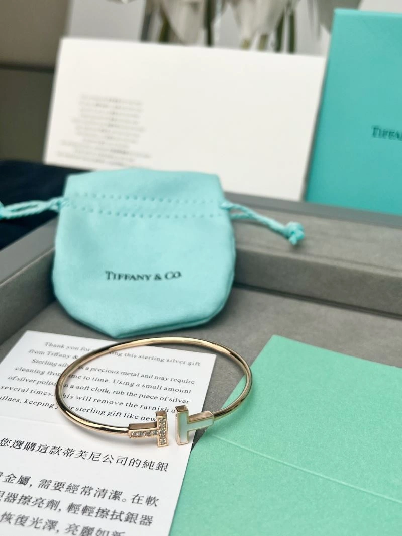 Tiffany Bracelets EasyMatch 253812