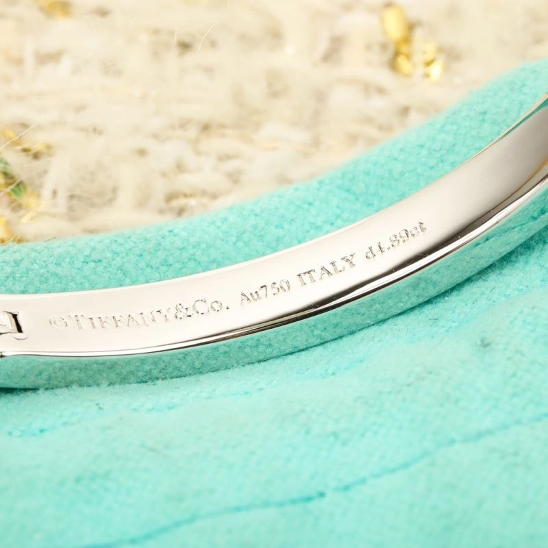 Tiffany Bracelets TechFriendly 253425