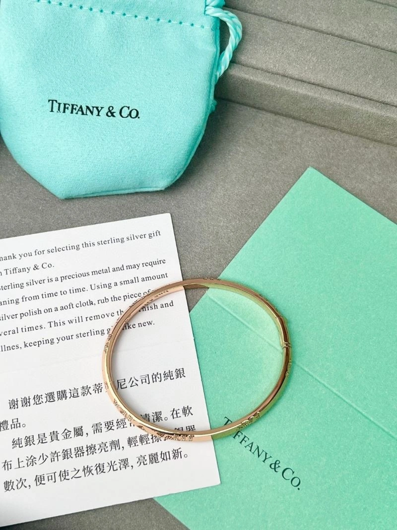 Tiffany Bracelets WeatherProof 253439