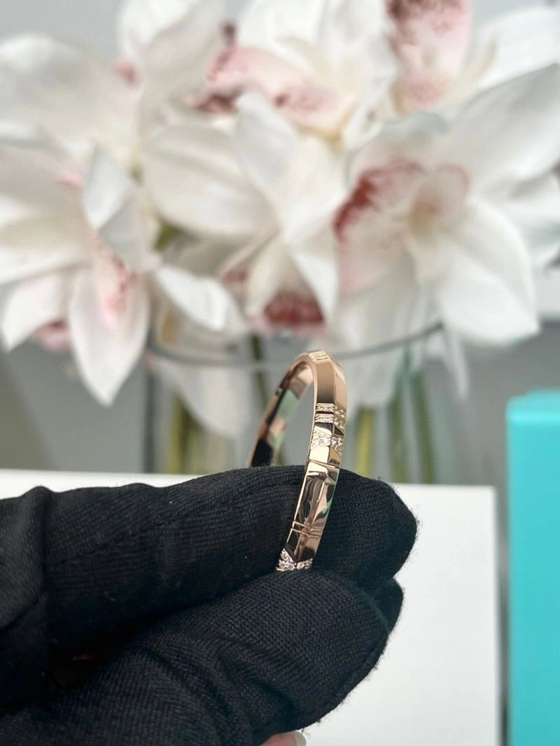 Tiffany Bracelets WeatherProof 253439