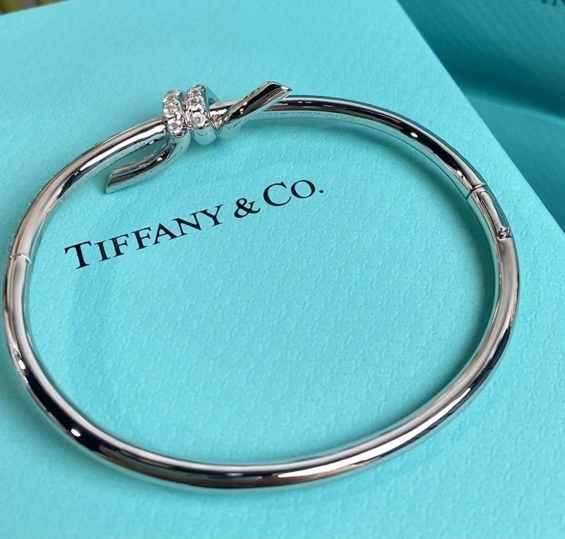 Flexible Tiffany Bracelets 253256