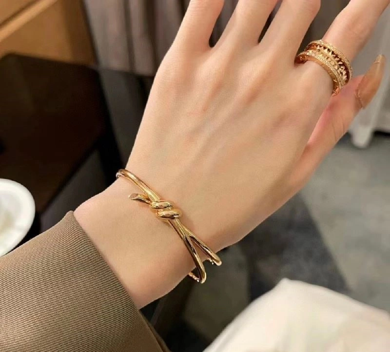 Tiffany Bracelets Versatile 253266