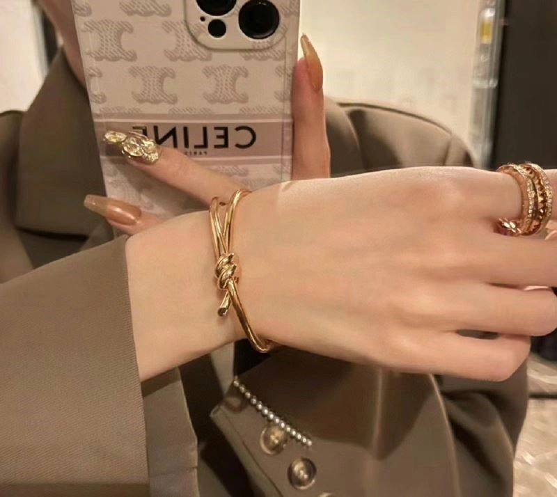 Tiffany Bracelets Versatile 253266