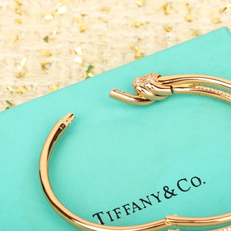 Tiffany Bracelets GoAnywhere 252752
