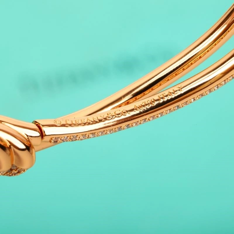 Tiffany Bracelets GoAnywhere 252752