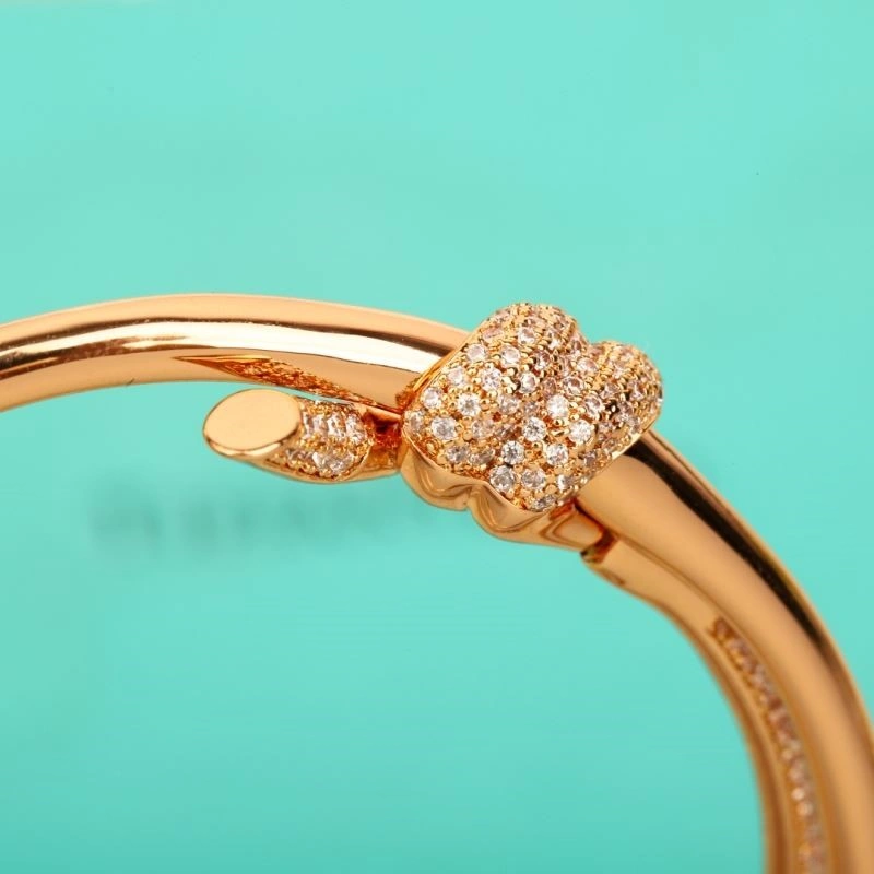 Tiffany Bracelets GoAnywhere 252752