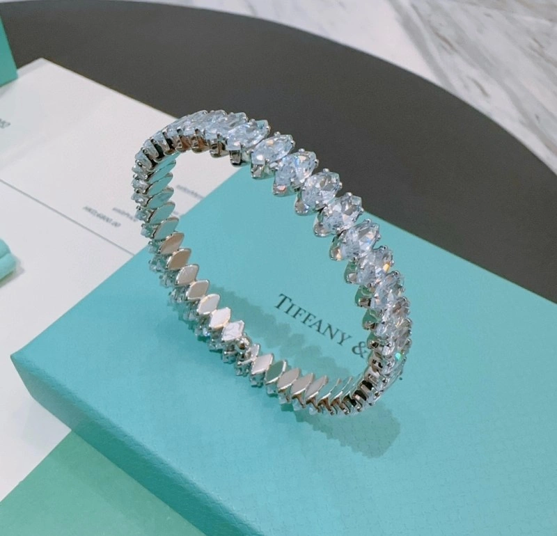 Trendsetting Tiffany Bracelets 252447