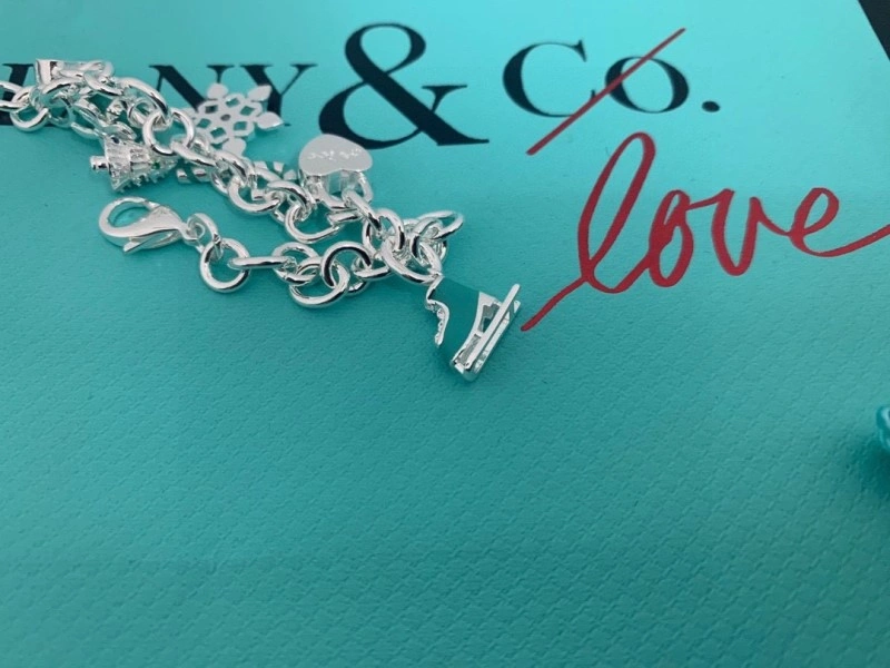 Tiffany Bracelets Flexible 252378