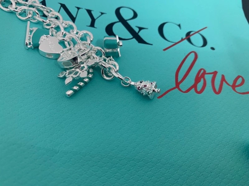 Tiffany Bracelets Flexible 252378
