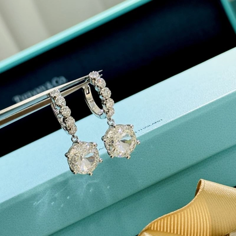 EyeCatching Tiffany Earrings 253897