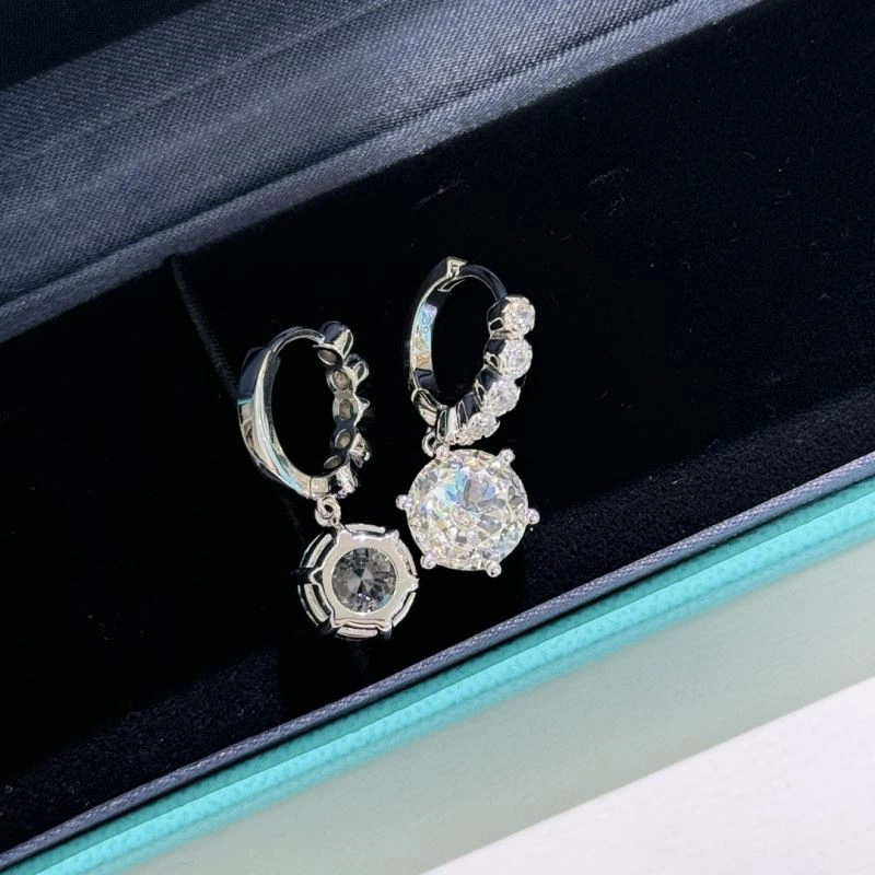 EyeCatching Tiffany Earrings 253897