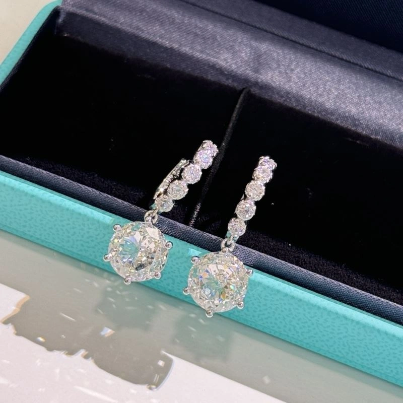 EyeCatching Tiffany Earrings 253897