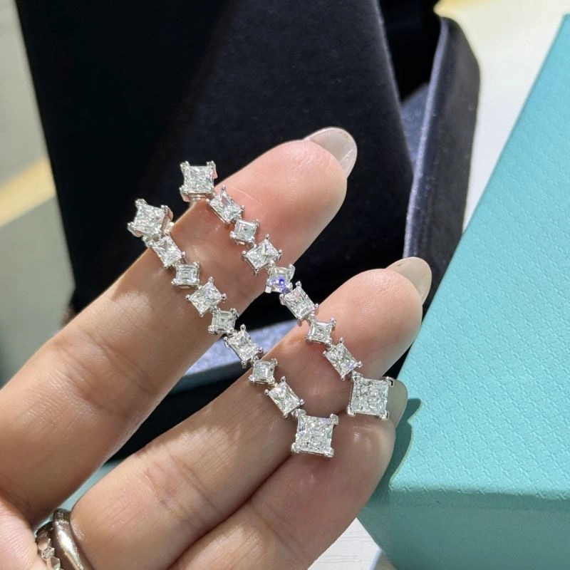 Tiffany Earrings Snug 253895