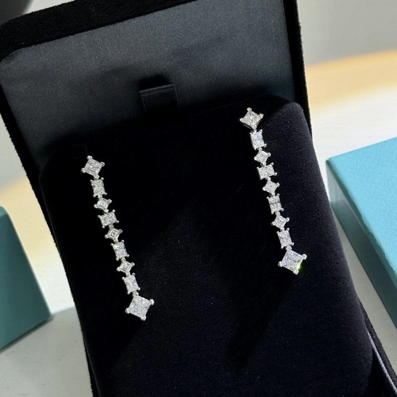 Tiffany Earrings Snug 253895