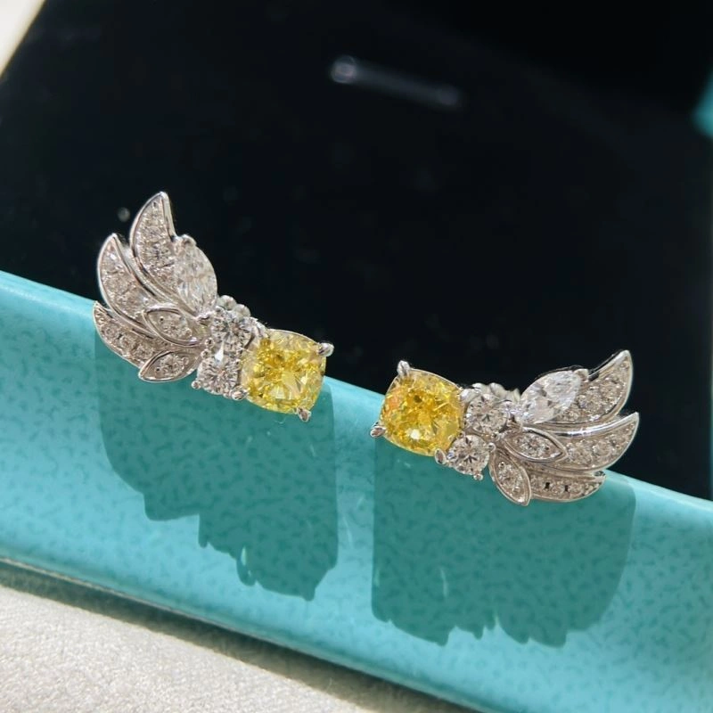Tiffany Earrings Soft 253894