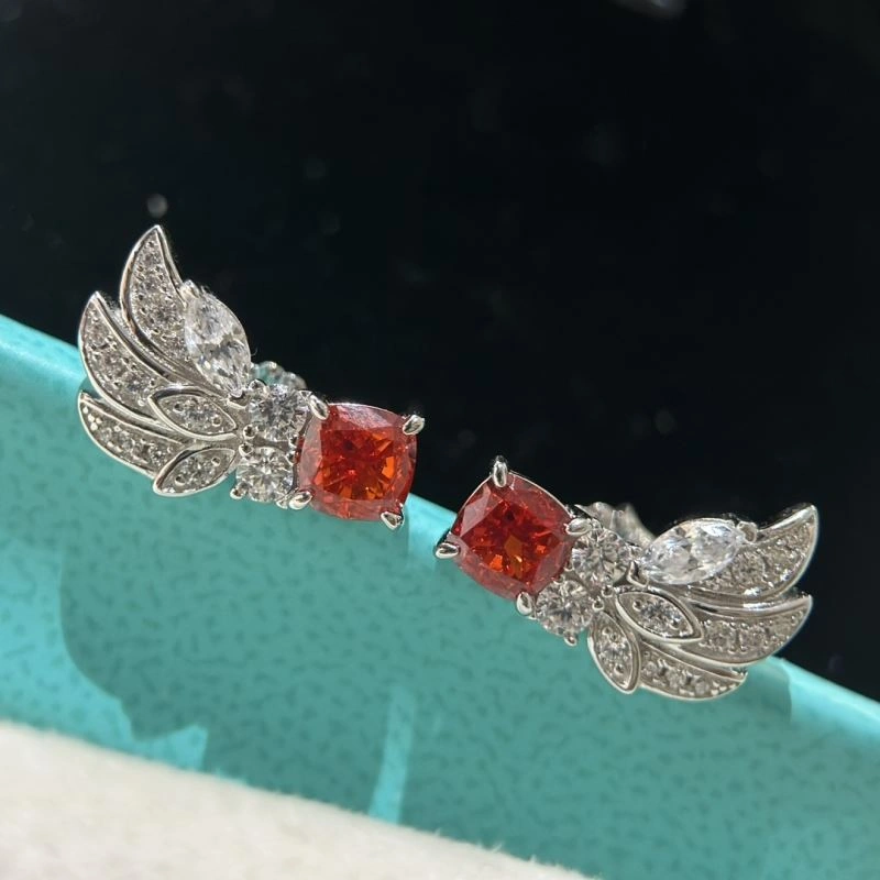 Tiffany Earrings Soft 253894