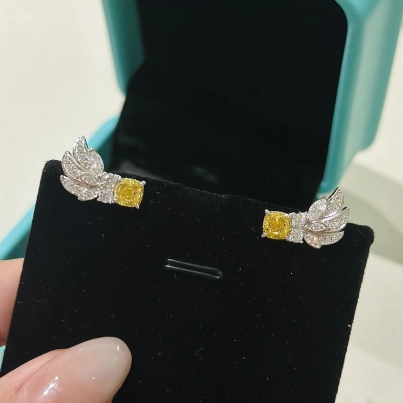 Tiffany Earrings Soft 253894