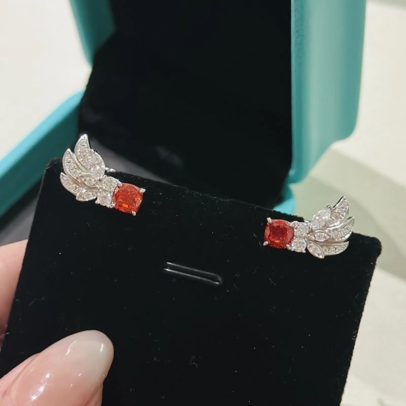 Tiffany Earrings Soft 253894