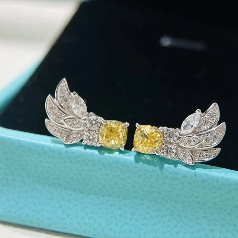 Tiffany Earrings Soft 253894