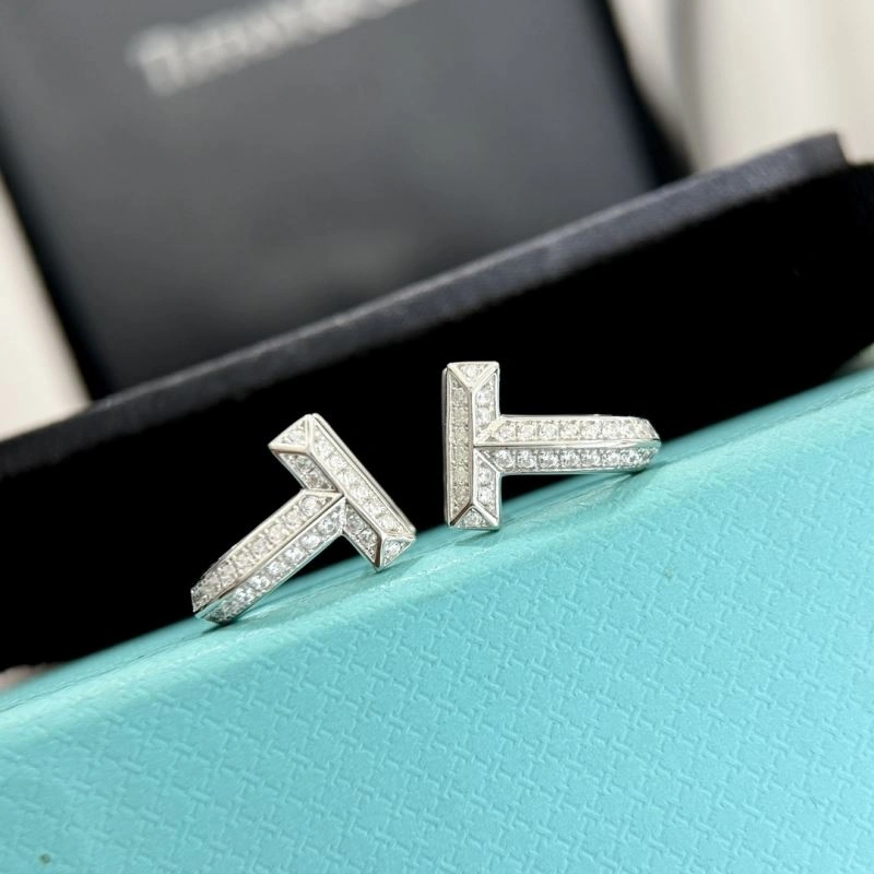Tiffany Earrings Supportive 253869