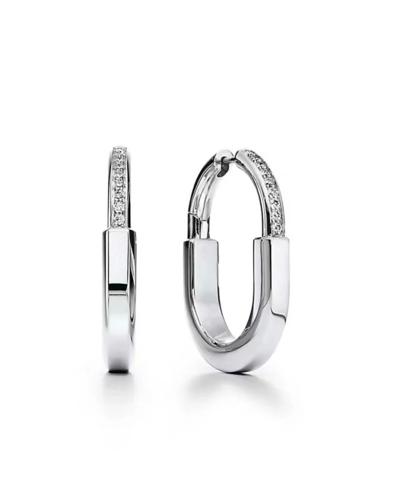 Tiffany Earrings Affordable 253885