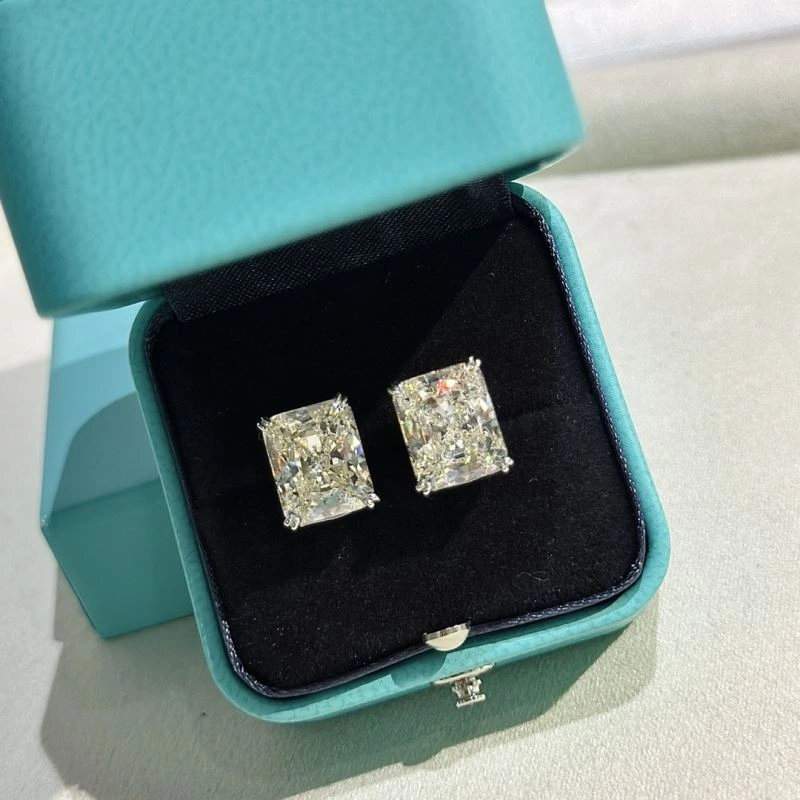 Tiffany Earrings Neat 253866