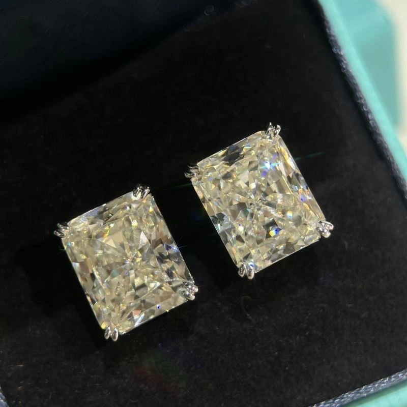 Tiffany Earrings Neat 253866