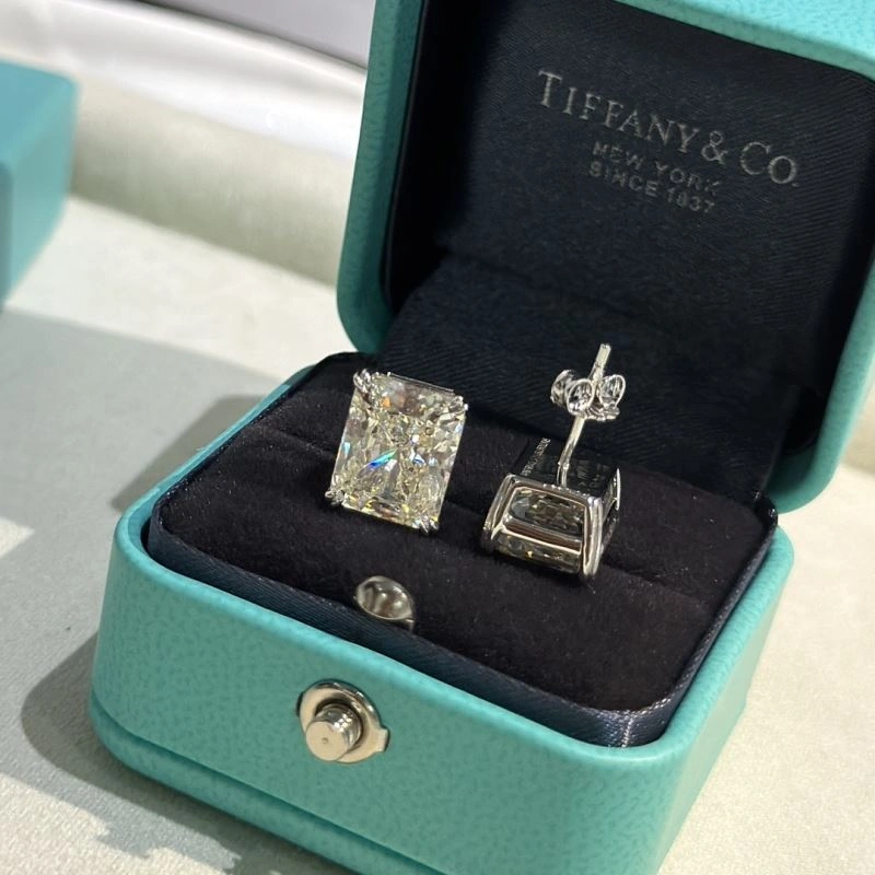 Tiffany Earrings Neat 253866