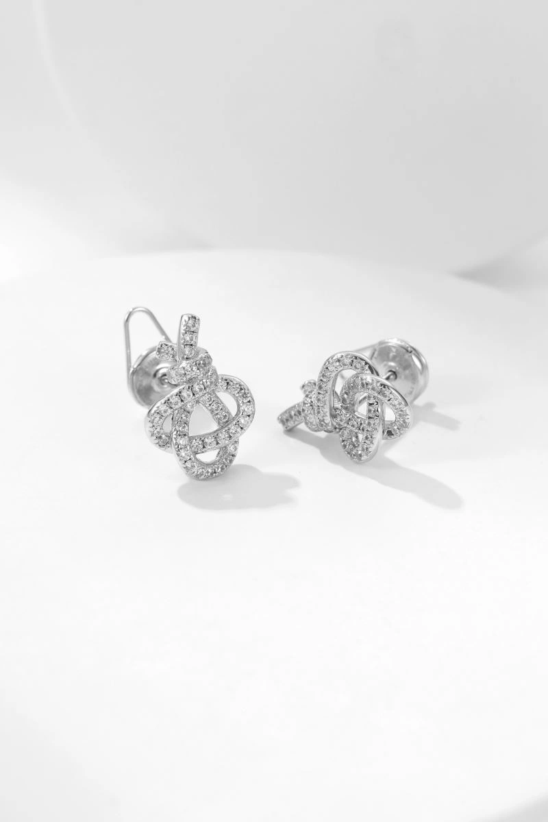 Tiffany Earrings StreetReady 253922