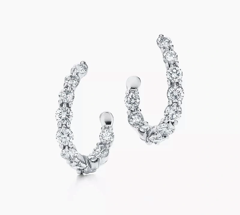 Tiffany Earrings Supportive 253799