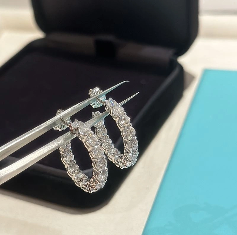 Tiffany Earrings Supportive 253799