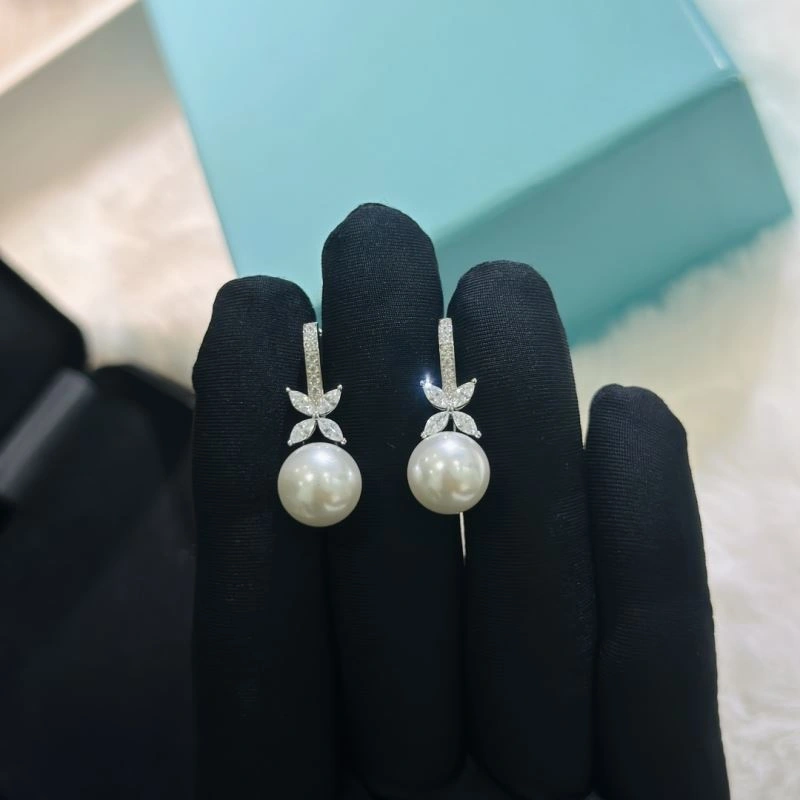 Sleek Tiffany Earrings 253795