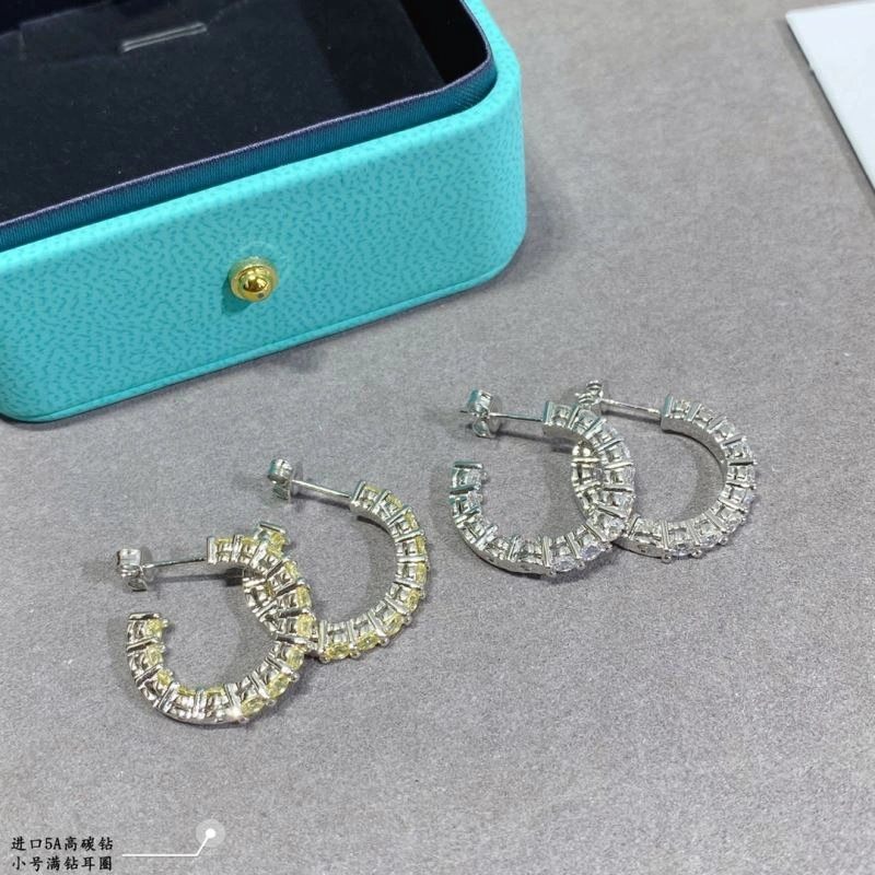 Comfortable Tiffany Earrings 253808