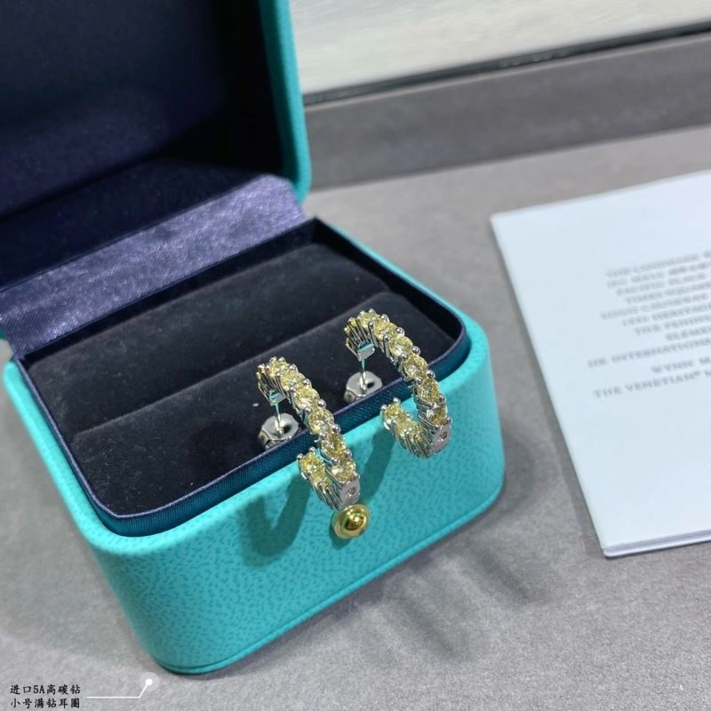 Comfortable Tiffany Earrings 253808