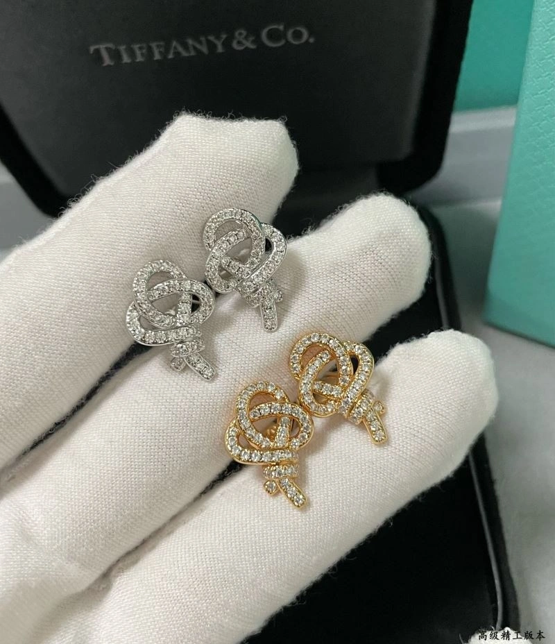 Minimalist Tiffany Earrings 253796