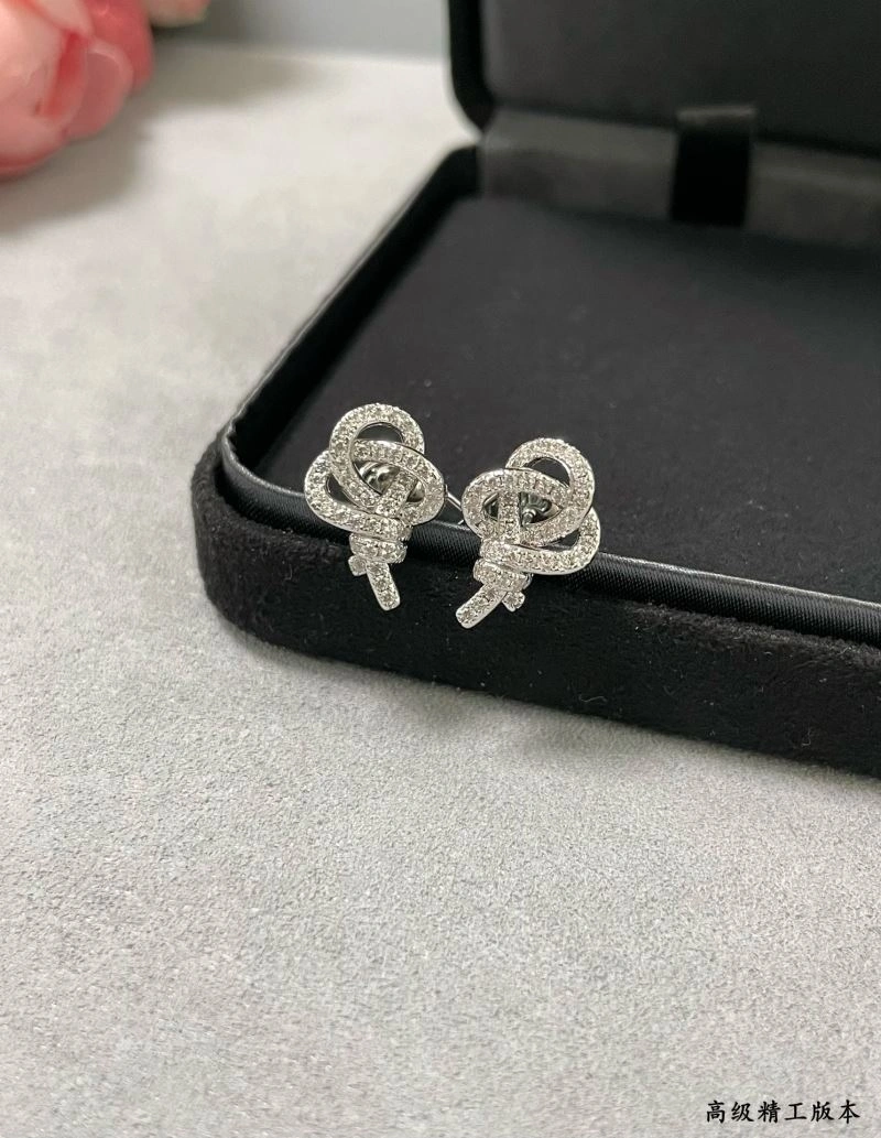 Minimalist Tiffany Earrings 253796