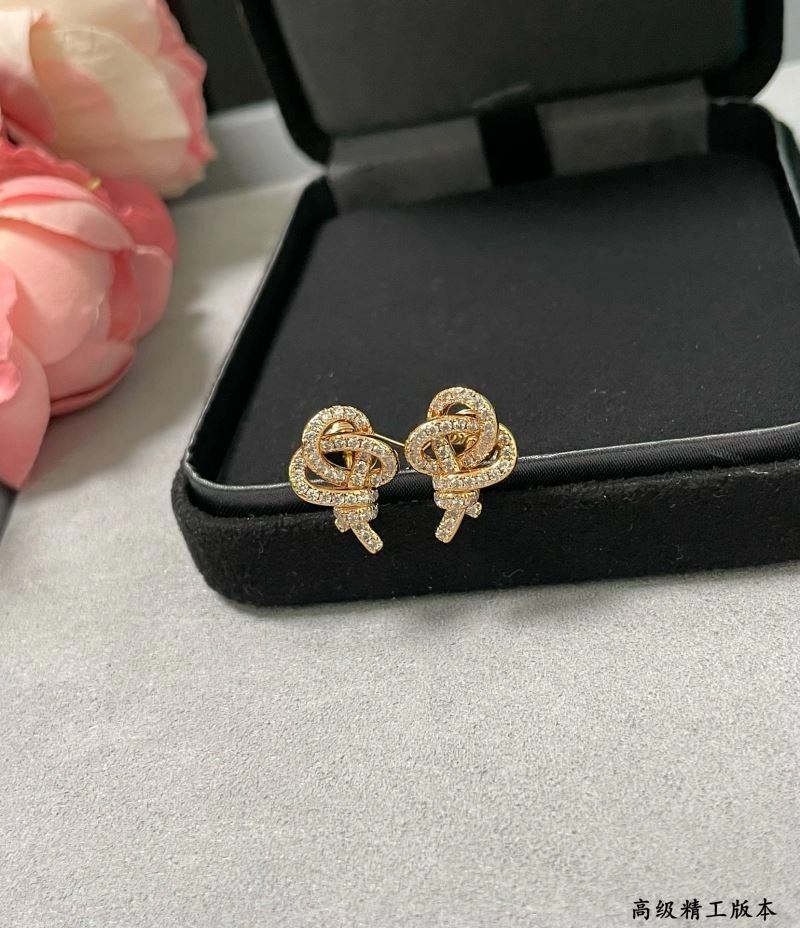 Minimalist Tiffany Earrings 253796